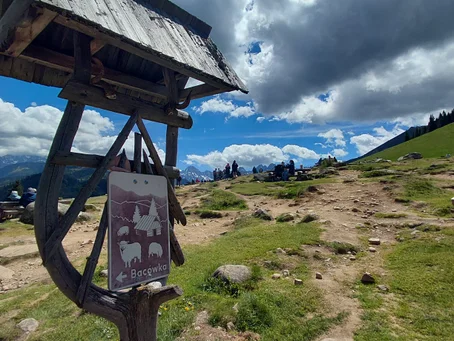 Trekking górski